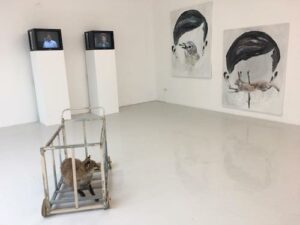 edi-dubien-2017-traversees-renardes-3