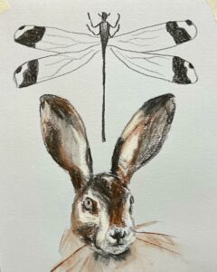 Edi-Dubien-Aquarelles-2021-3
