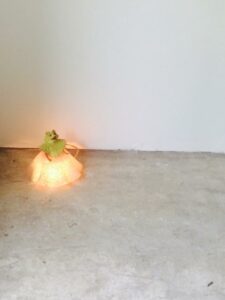 Edi-Dubien-Installations-et-sculptures-identité-lumineuse