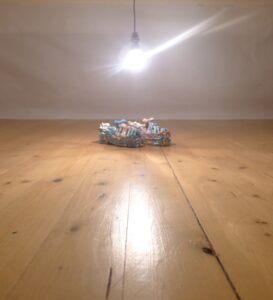 Edi-Dubien-Installations-et-sculptures-taille-34-et-demi-2