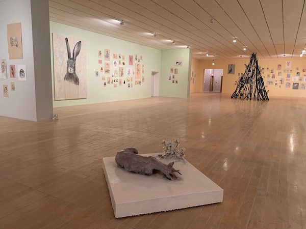 L’HOMME AUX MILLE NATURES, Musée d’art contemporain de Lyon, 2020