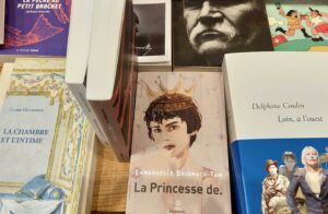 7-la-princesse-de-.-Emmanuelle-Bayamack-Tam