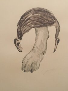 Edi-Dubien-2017-oscillations-Librairie-Mazarine-26