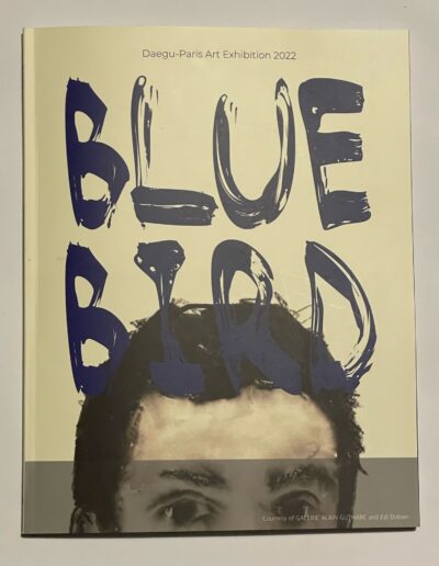 edi-dubien-editions-catalogue-exposition-blue-bird-musee-daegu-seoul-coree