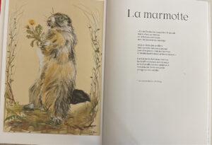 edi-dubien-les-animaux-de-tout-le-monde-les-animaux-de-personne-musee-de-la-chasse-14