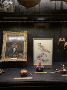 edi-dubien-les-animaux-de-tout-le-monde-les-animaux-de-personne-musee-de-la-chasse-3