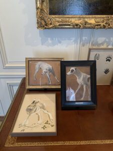 edi-dubien-les-animaux-de-tout-le-monde-les-animaux-de-personne-musee-de-la-chasse-4