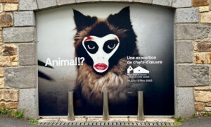 Edi-Dubien-aout-2025-expositions-collectives-ANIMAL-1100x660