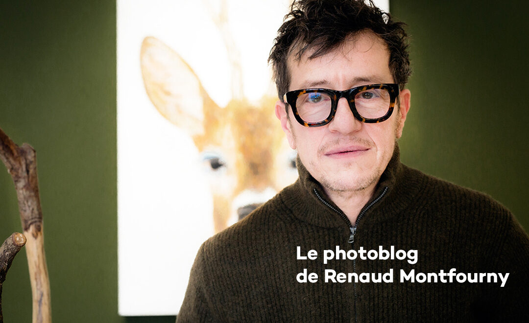 Le photoblog de Renaud Montfourny