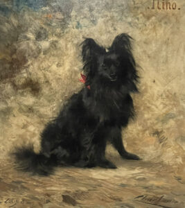 Edi-Dubien-aout-2025-expositions-collectives-ANIMAL-1100x660