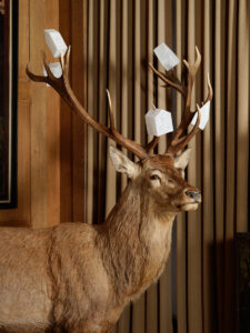 Edi-Dubien-s-eclairer-sans-fin-Musée-de-la-Chasse-et-de-la-Nature-1