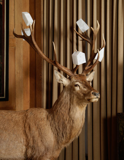 Edi-Dubien-s-eclairer-sans-fin-Musée-de-la-Chasse-et-de-la-Nature-1