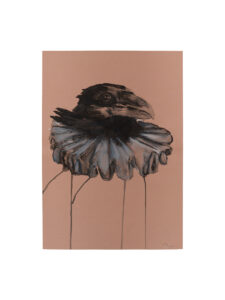 Edi-Dubien-s-eclairer-sans-fin-Musée-de-la-Chasse-et-de-la-Nature