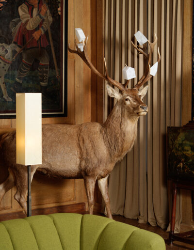 Edi-Dubien-s-eclairer-sans-fin-Musée-de-la-Chasse-et-de-la-Nature-2