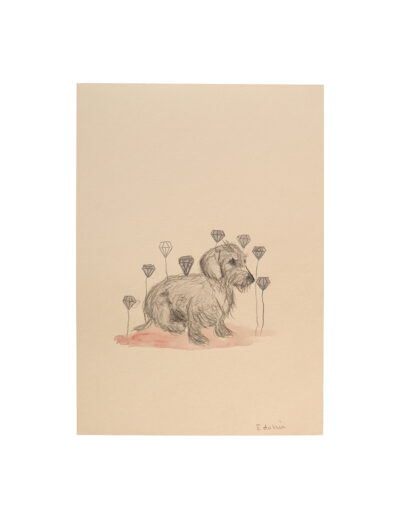 Edi-Dubien-s-eclairer-sans-fin-Musée-de-la-Chasse-et-de-la-Nature