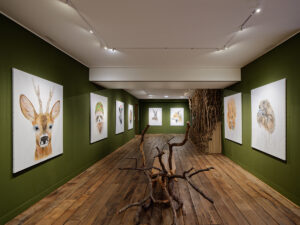 Edi-Dubien-s-eclairer-sans-fin-Musée-de-la-Chasse-et-de-la-Nature