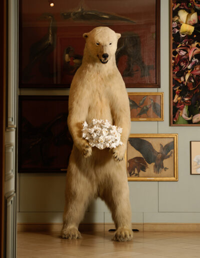 Edi-Dubien-s-eclairer-sans-fin-Musée-de-la-Chasse-et-de-la-Nature-5