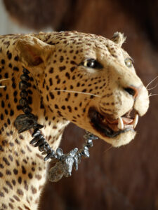 Edi-Dubien-s-eclairer-sans-fin-Musée-de-la-Chasse-et-de-la-Nature