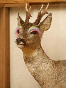 Edi-Dubien-s-eclairer-sans-fin-Musée-de-la-Chasse-et-de-la-Nature