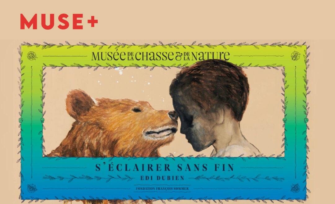 Muse+, S’éclairer sans fin d’Edi Dubien